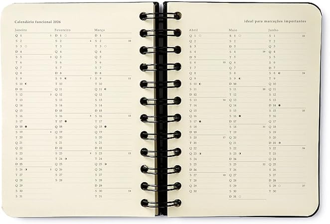 Agenda Ciceros 2026 Praia Diaria 11,5x16 Cachorros